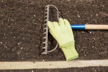 Horizontal photo of garden rake in soil with work gloves next to rake Teeth 