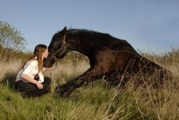 friendship between a stallion and a young teenager