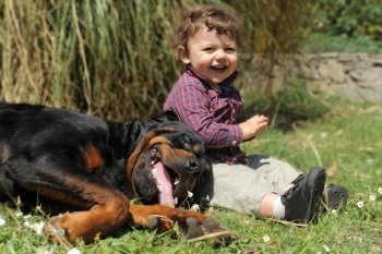portrait of a purebred rottweiler and little boy in the grass