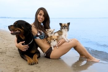 portrait of a cute purebred  chihuahuas, rottweiler and young woman on the beach