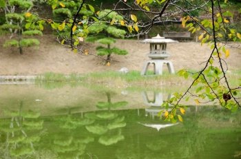 Lake in a japanese garden. Lake in a japanese garden with cherry tree in foreground