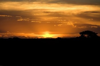 Sunset over farmland, Australia