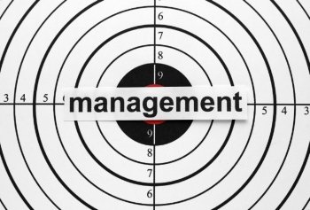 Management target