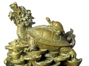 chinese turtle. turtle