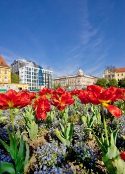 Colorful capital of Croatia Zagreb nature and architecture