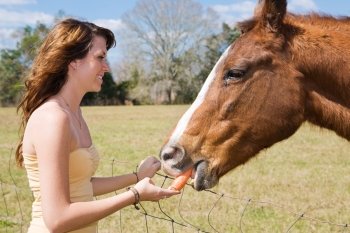 Beautiful teen girl giving a carrot to her horse.  