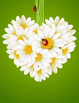 Floral love card (camomile heart)