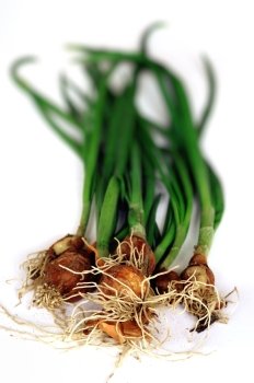 An image of green fresh onion on white