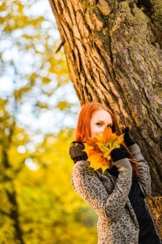 Beautiful girl and bunch of maple leaves, romance in autumn
