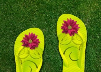 Colorful Flip Flops on green grass, summertime 