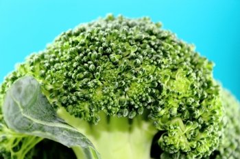 Fresh broccoli in closeup