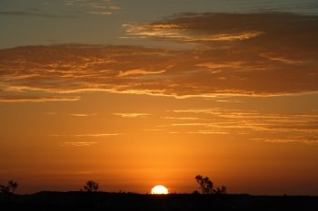 An image of the Australian Outback landscape during a sunset.