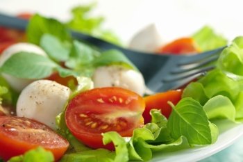 salad with tomatoes and mozzarella
