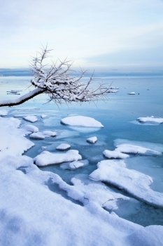 Norwegian winter fjord landscape with tree and ice
