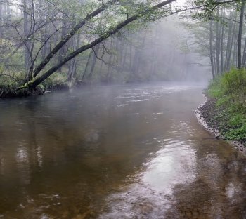 Panorama of a wild river, autumn in a national park of a Lithuania