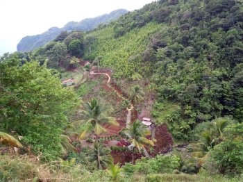 Farm and staicase on the hill in island Dominica          
