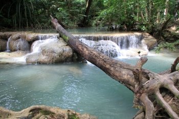 Big fallen tree and Erawan waterfall in Thailand