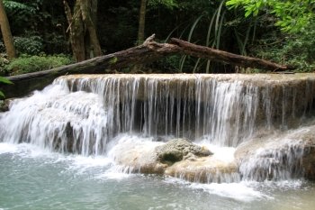 Big tree and waterfall in Erawan national park, Thailand
