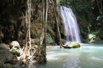 Roots of trees, stone and waterfall Erawan, Thailand