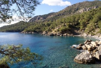 Rocks and pine trees on the sea coast, Turkey         