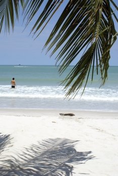 Man on the beach near palm tree, Langkawi                 
