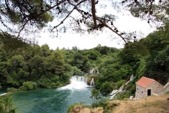 Pine tree, waterfall and building in national park KRKA, Croatia 