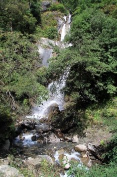 Waterfall in the green forest in Nepal
