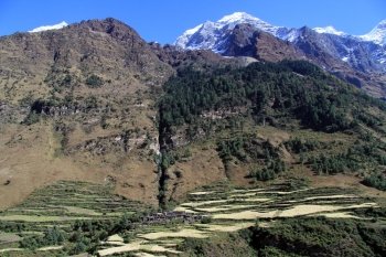 Fields and farm houses in mountain in Nepal