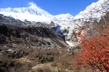 Snow mountain and color bush in october near Samagoon in Nepal