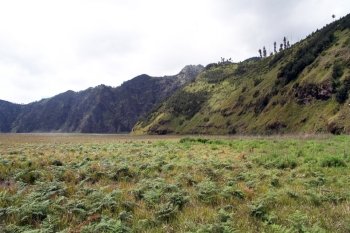Green grass in caldera near volcano Bromo, Indonesia