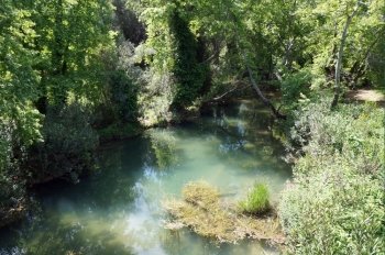 Small forest river at day time in Turkey                               
