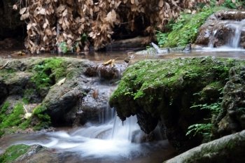 Smooth waterfall and dry leaves on the branc                                