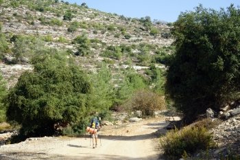 Backpacker on the road in Judea mountain national park, Israel