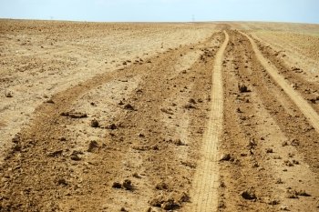  Track on the plowed land in Israel                              