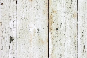 High resolution white wood background With Natural Patterns. Vintage  white background wood wall.