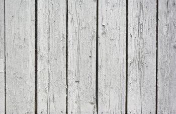 Vintage  White Background Wood Wall