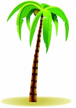 Lone palm tree on a white background.