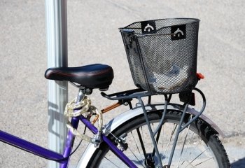 Bicycle back in blue color with basquet.