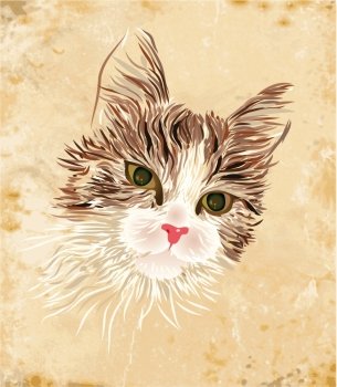 vintage portrait of the cat