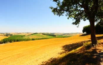 Tuscany Landscape With Shadow of a Tree in The Morning
