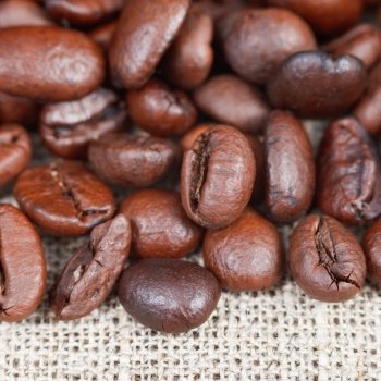 many roasted coffee beans on textile close up