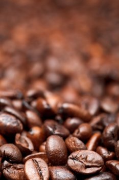 background from many roasted coffee beans with focus foreground