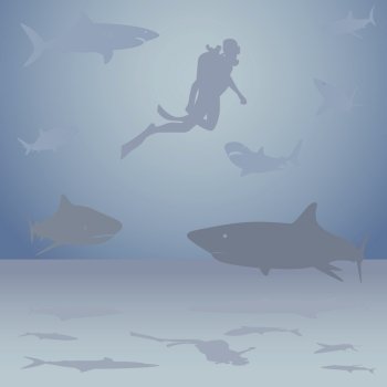 Diver among sharks