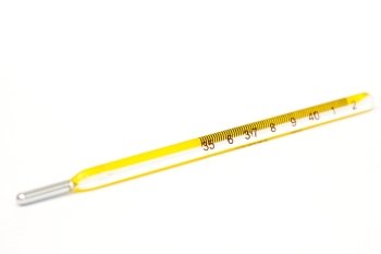 a mercury thermometer, to determine body temperature