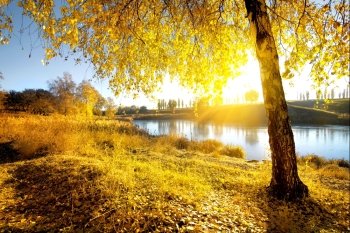 Bright autumn at sunrise near the river