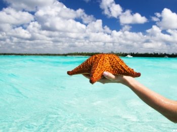 Starfish in hand in sea