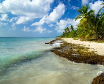 Caribbean clear beach and tropical sea