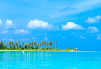 tropical beach in Maldives with few palm trees and blue lagoon

