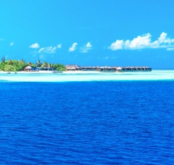 tropical beach in Maldives with few palm trees and blue lagoon