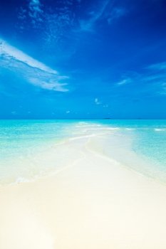 beach in Maldives with few palm trees and blue lagoon

